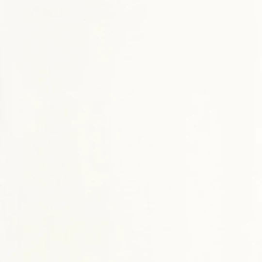 Casadeco 82380054 So Color 6 Florescence Kiosque Blanc Polaire - tapeta jednolita