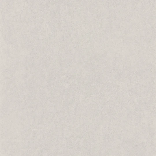 Casadeco 82381336 So Color 6 Florescence Kiosque Taupe Clair - tapeta jednolita