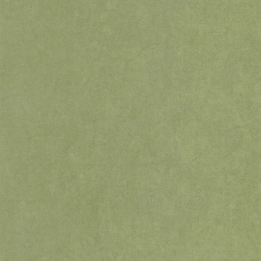 Casadeco 82387512 So Color 6 Florescence Kiosque Vert Cactus - tapeta jednolita