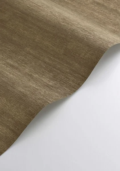 Casadeco 201142772 So Color 6 Pietra Cacao - tapeta jednolita postarzana