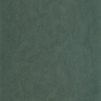 74723768381f031c7825b60904aa62ac