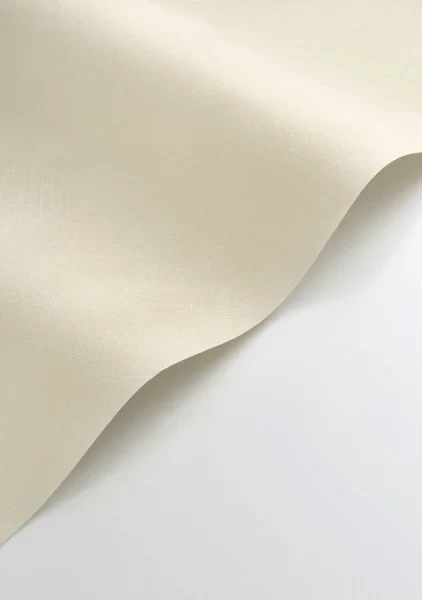 Casadeco 201001010 So Color 6 Nest Beige Pierre - tapeta jednolita z efektem patyny