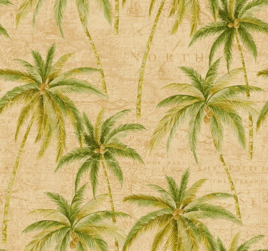 Tapeta Seabrook Trinidad TR20004