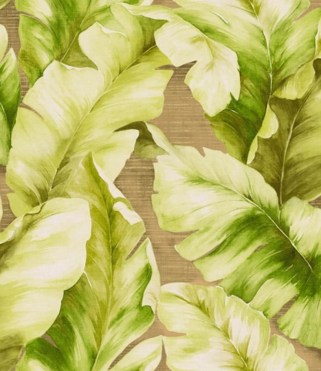 Tapeta Seabrook Trinidad TR20304