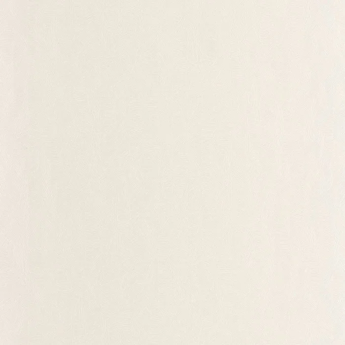 205478[1].webp