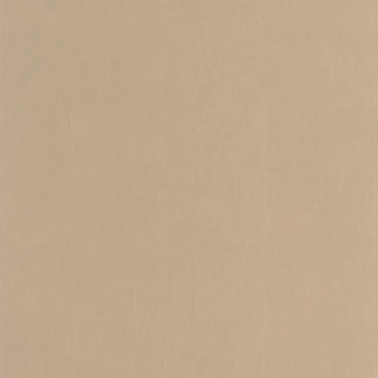 Casadeco 200251818 So Color 6 Etamine Cappuccino - tapeta jednolita imitująca tkaninę