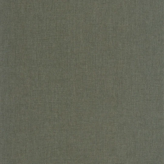Casadeco 201177808 So Color 6 Caractere Vert Nil - tapeta jednolita imitująca len