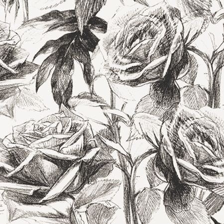 Tapeta Clarke & Clarke Floribunda EMPRESS ROSE W0037/07