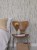 f6d934501a65cafaadff3f437fafd468