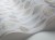 4b20cef89e2bab768b44d120714c1f7e