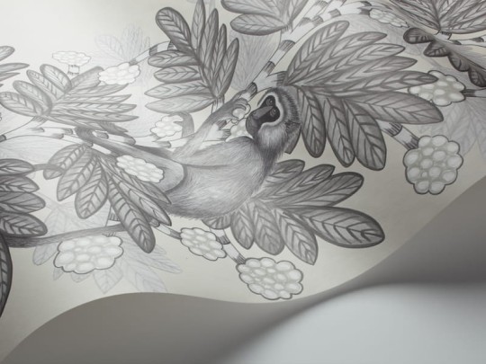 Tapeta Cole & Son Ardmore 109/11053 Acacia