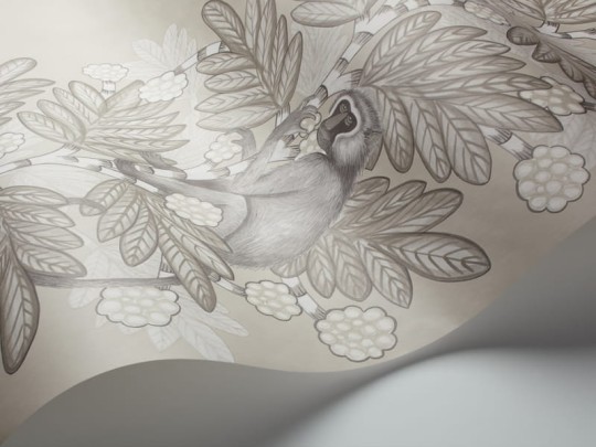 Tapeta Cole & Son Ardmore 109/11054 Acacia