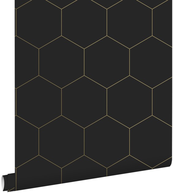 Esta 139313 Bloom Hexagon black and gold - tapeta w heksagony