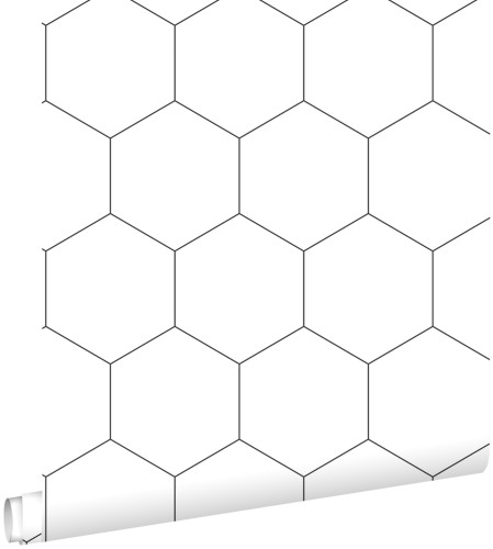 f7f37bb7f901d16859c13537b8499a3e