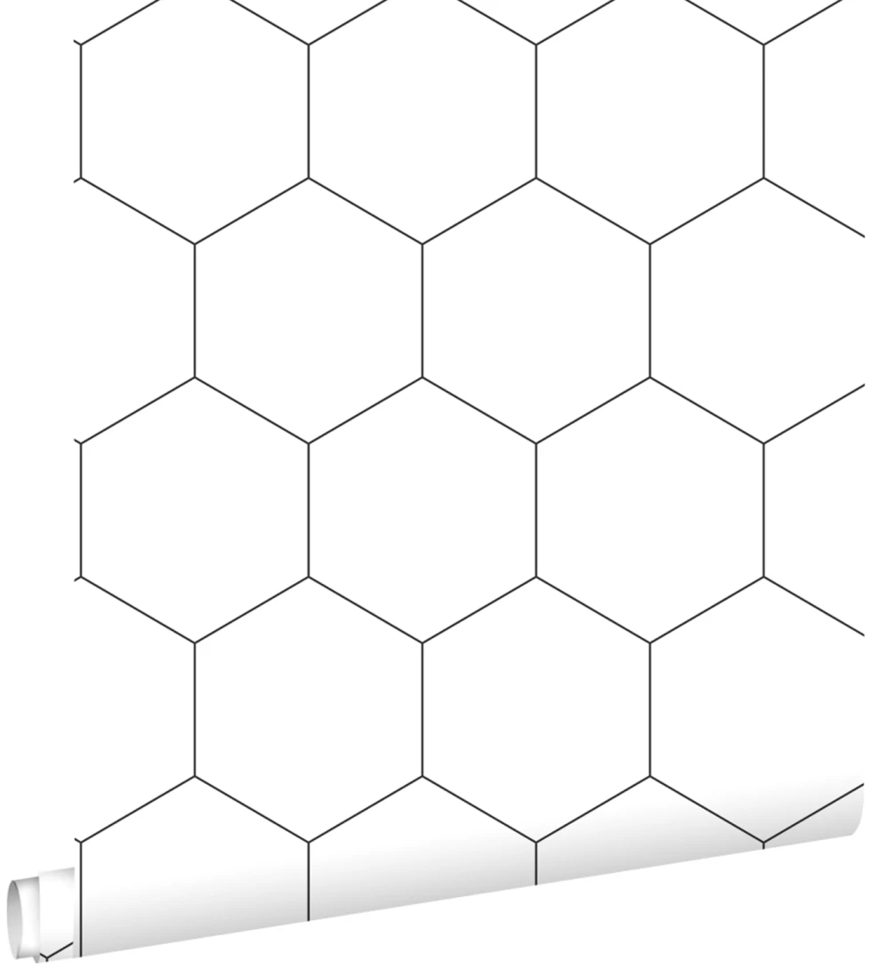 Esta 139311 Bloom Hexagon black and white - tapeta w heksagony