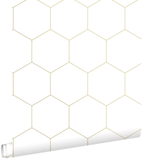 Esta 139312 Bloom Hexagon white and gold - tapeta w heksagony