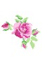 7e2cfa60f33fb80d05e99cf2b5af6caa