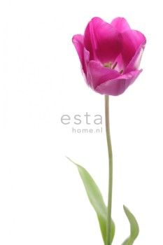 99553da5080cbced967e8f471a49c25f