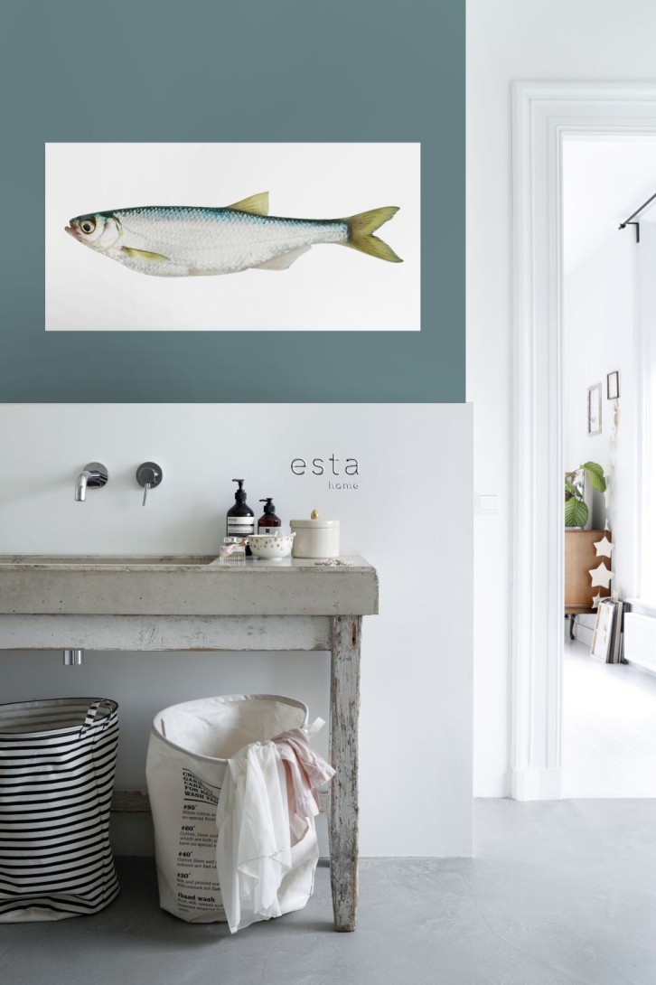 Esta 159038 Wall Wonders Fish yellow and blue - tapeta naklejka w rybę