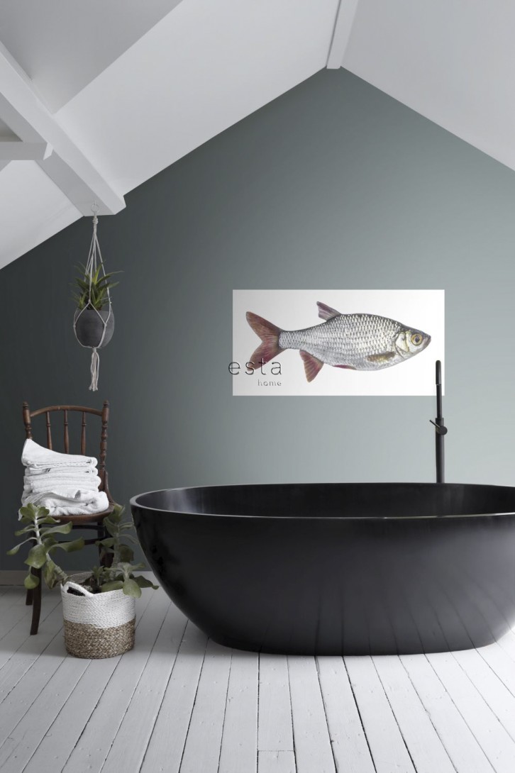 Esta 159039 Wall Wonders Fish gray and red - tapeta naklejka w rybę