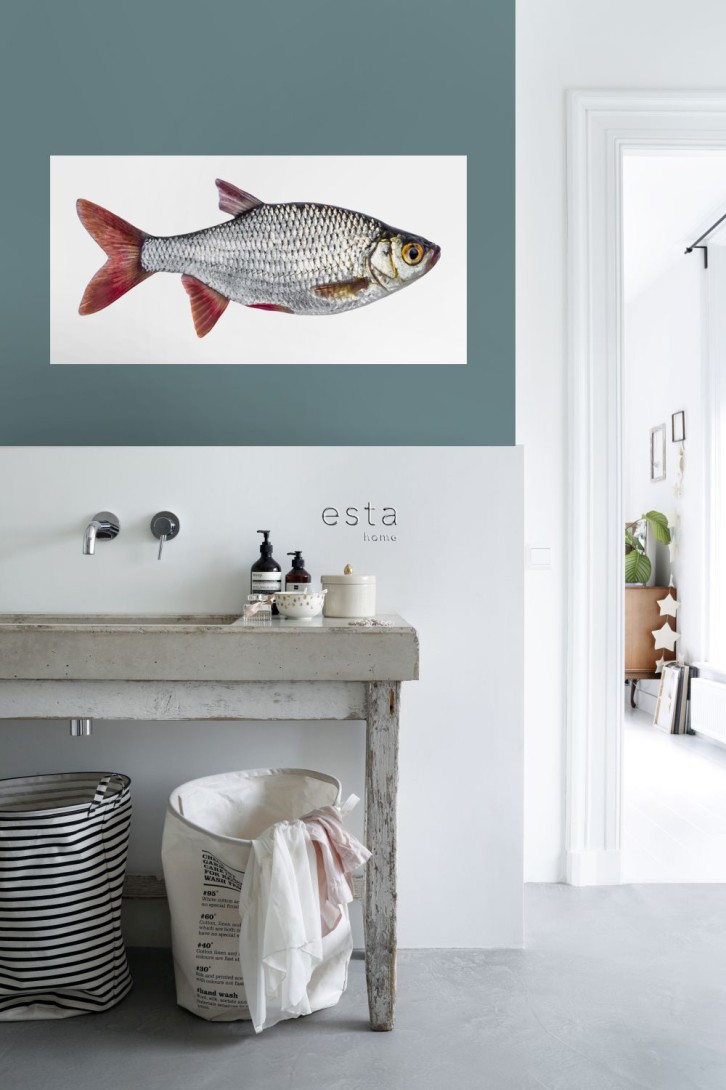 Esta 159039 Wall Wonders Fish gray and red - tapeta naklejka w rybę