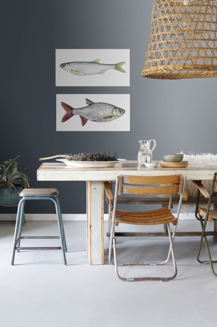 Esta 159039 Wall Wonders Fish gray and red - tapeta naklejka w rybę