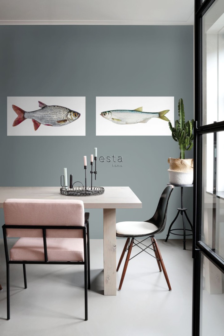 Esta 159039 Wall Wonders Fish gray and red - tapeta naklejka w rybę