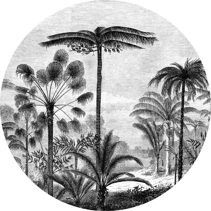 c66e0c131bce63659701d257a9772620