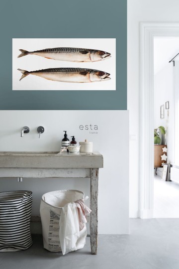 Esta 159040 Wall Wonders Fish gray - tapeta naklejka w rybę
