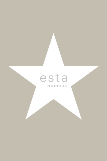 Esta 158706 Walls for Kids XL2 Star taupe - mural dla dzieci w gwiazdę