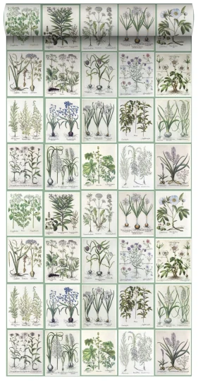 Esta 158826 XL² Photowalls XXL pages of a botanical book light warm gray and green - tapeta w ilustracje botaniczne