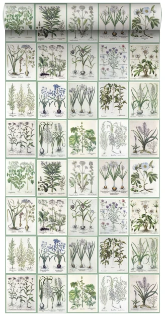 Esta 158826 XL² Photowalls XXL pages of a botanical book light warm gray and green - tapeta w ilustracje botaniczne