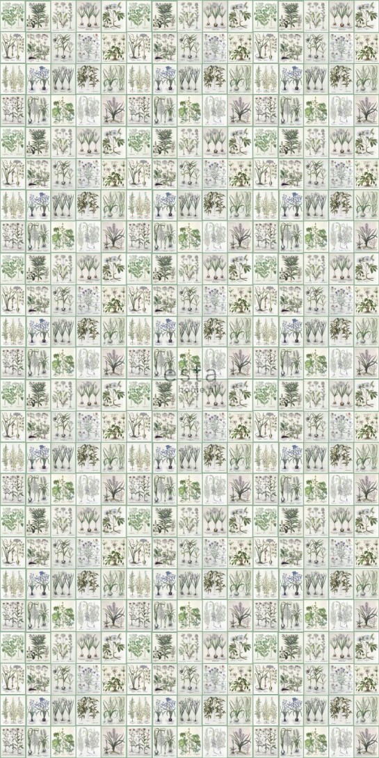 Esta 158826 XL² Photowalls XXL pages of a botanical book light warm gray and green - tapeta w ilustracje botaniczne