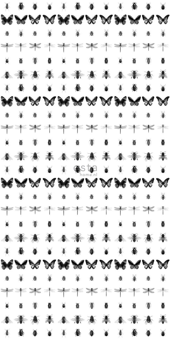 Esta 158827 XL² Photowalls XXL pen drawn insects black and white - tapeta w szkice owadów