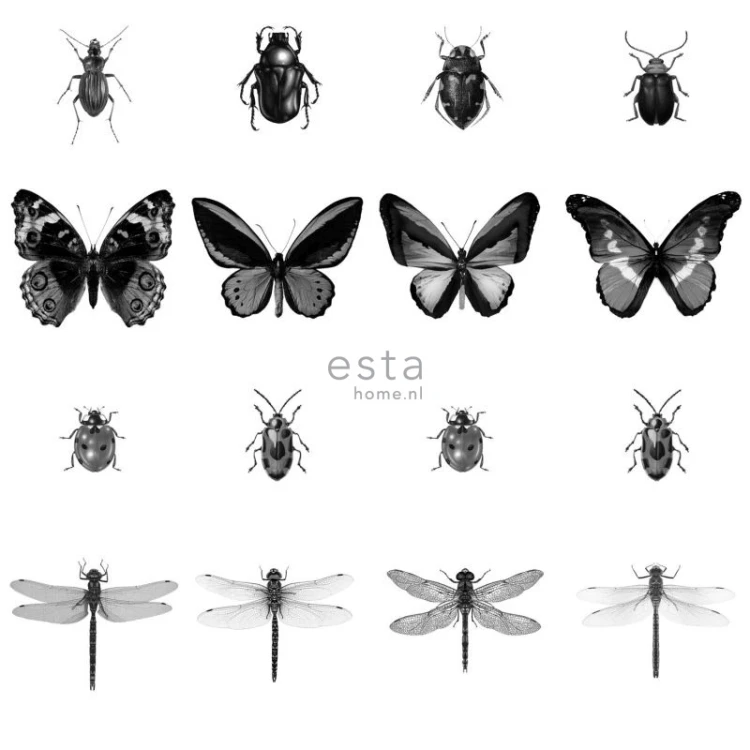 22fca487a4012f2a5a423f952af95594
