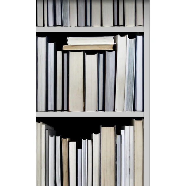 Esta 158205 XL² Photowalls XXL bookcase black gray beige and white - tapeta w regał z książkami