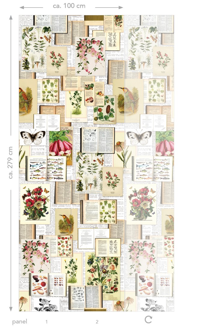 Esta 158508 XL² Photowalls botanical beige green and pink - mural w botaniczne ilustracje