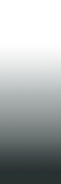 Esta 158818 XL² Photowalls floor to ceiling dip dye gradient black and white - mural w gradient