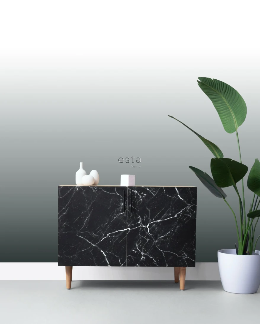 Esta 158818 XL² Photowalls floor to ceiling dip dye gradient black and white - mural w gradient