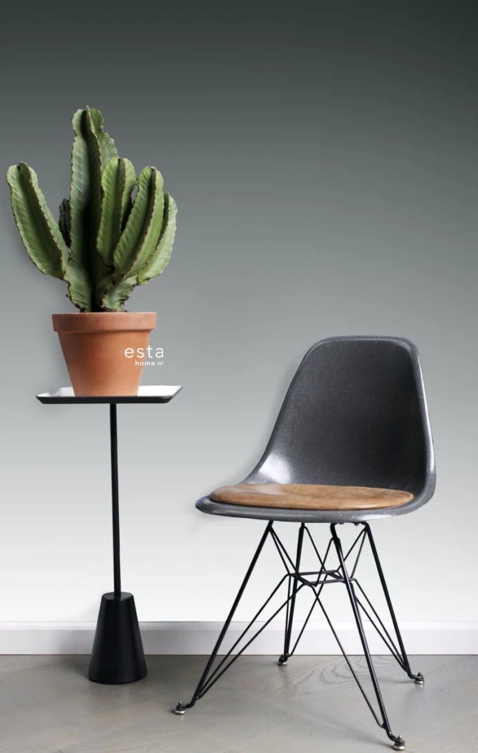 Esta 158818 XL² Photowalls floor to ceiling dip dye gradient black and white - mural w gradient