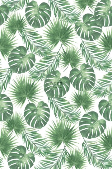Esta 158897 XL² Photowalls tropical leaves green - mural w liście monstery
