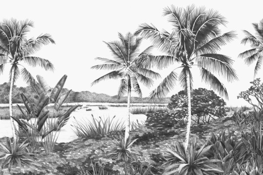 Esta 158901 XL² Photowalls tropical landscape with palm trees black and white - mural w tropikalny pejzaż
