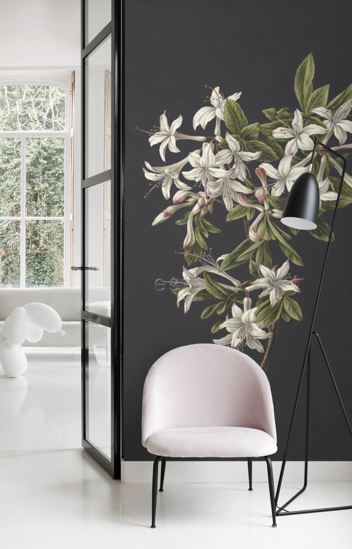 Esta 158885 XL² Photowalls blossom light pink and black - mural w kwiaty na ciemnym tle