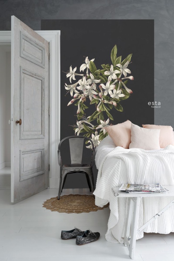 Esta 158885 XL² Photowalls blossom light pink and black - mural w kwiaty na ciemnym tle