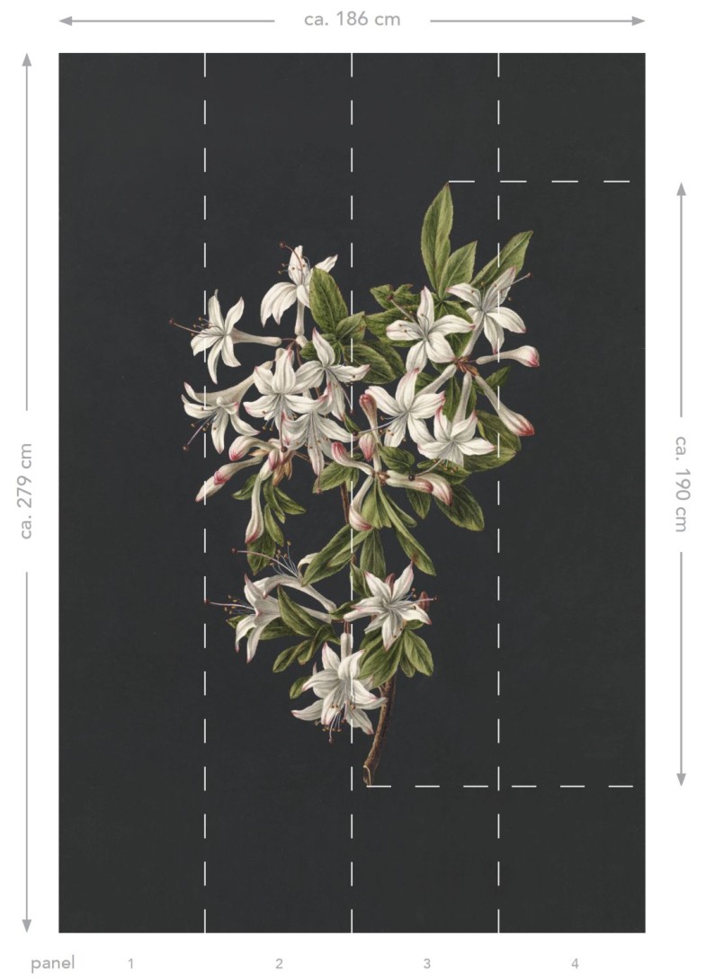 Esta 158885 XL² Photowalls blossom light pink and black - mural w kwiaty na ciemnym tle