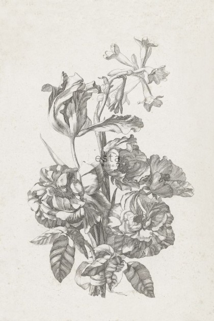 Esta 158887 XL² Photowalls still life of flowers black and white - mural w roślinny wzór