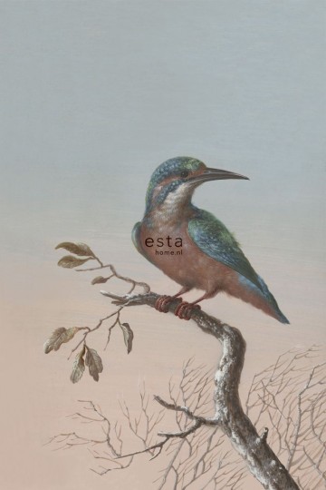 Esta 158888 XL² Photowalls kingfisher on branch evening red - mural w zimorodka