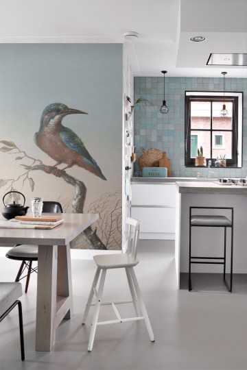 Esta 158888 XL² Photowalls kingfisher on branch evening red - mural w zimorodka