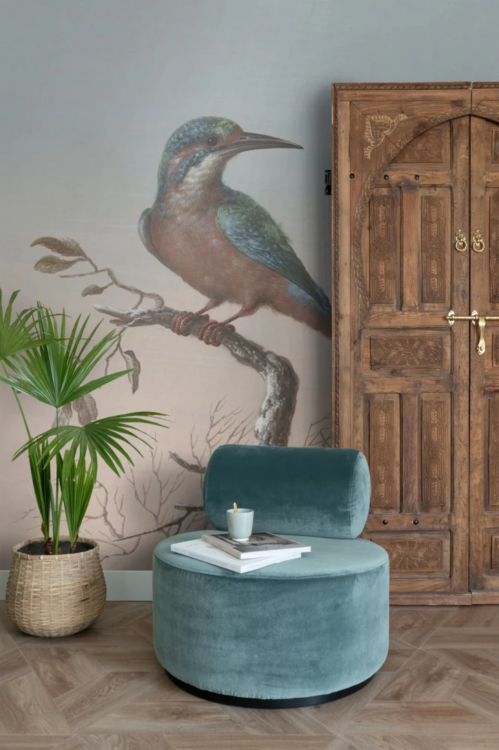 Esta 158888 XL² Photowalls kingfisher on branch evening red - mural w zimorodka