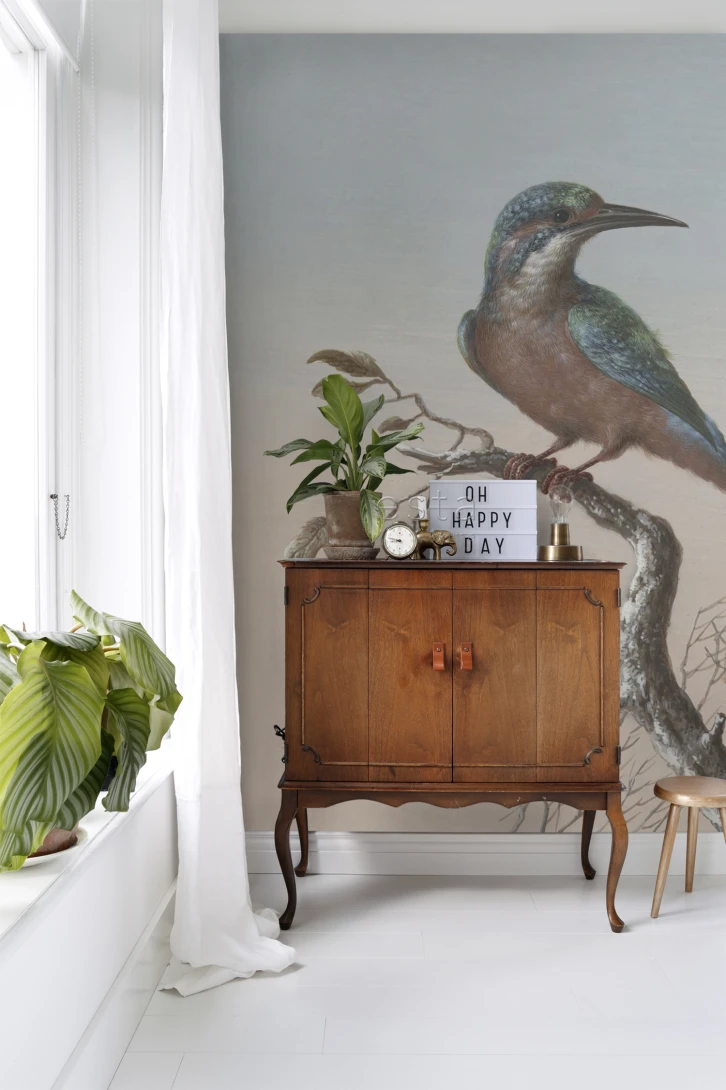 Esta 158888 XL² Photowalls kingfisher on branch evening red - mural w zimorodka
